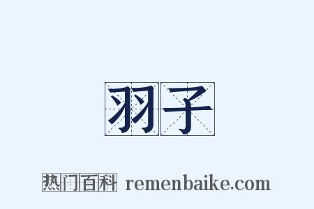 羽子是什么意思的图片